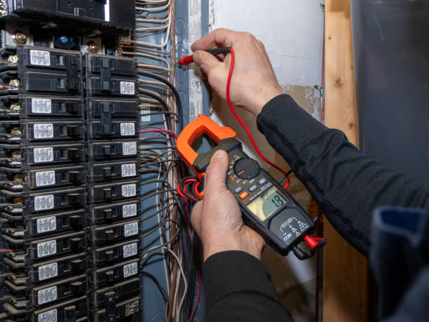 Best Electric Panel Repair  in Lacon, IL